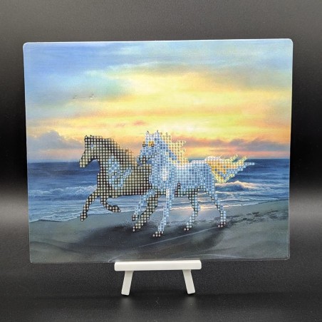 Les chevaux sur la plage